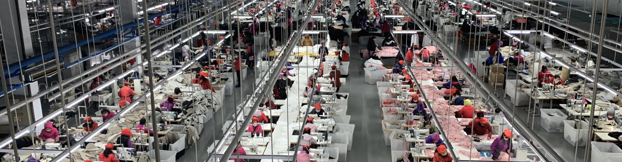 8cece117c19101684a1a90dbc7be2e13