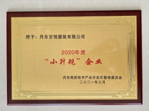 小升規(guī)企業(yè)