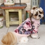 68TC01 dog