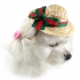 52HAT01B dog