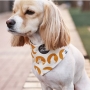 COSCA02 dog9