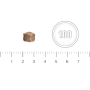 BITFOOD09D