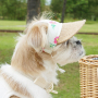LILCAP01B