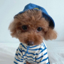 37HAT02B