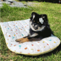 PUPMAT01D