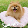 PUPMAT01C