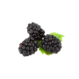 HEAFRUIT08F