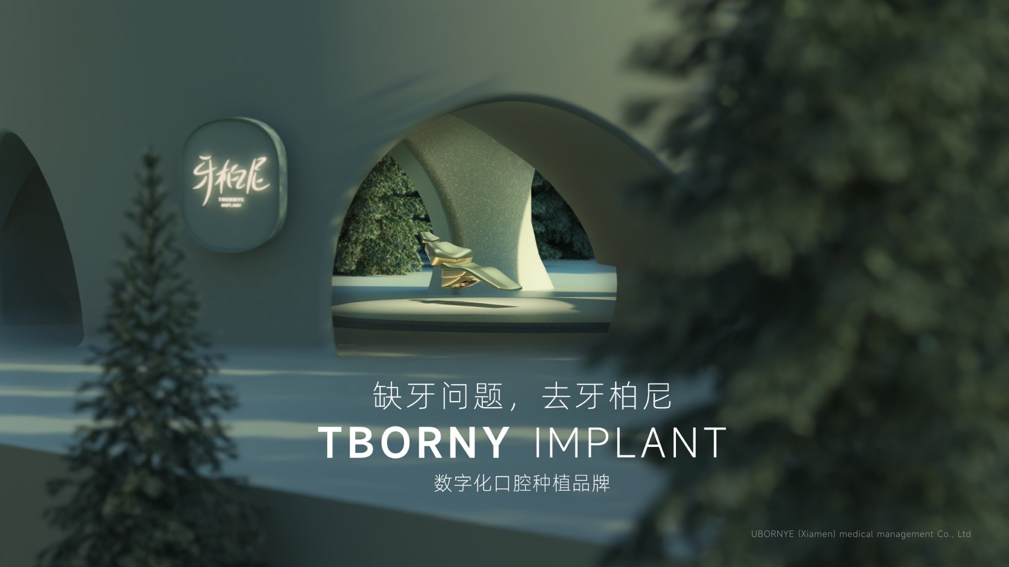 20220608牙柏尼招商PPT_18