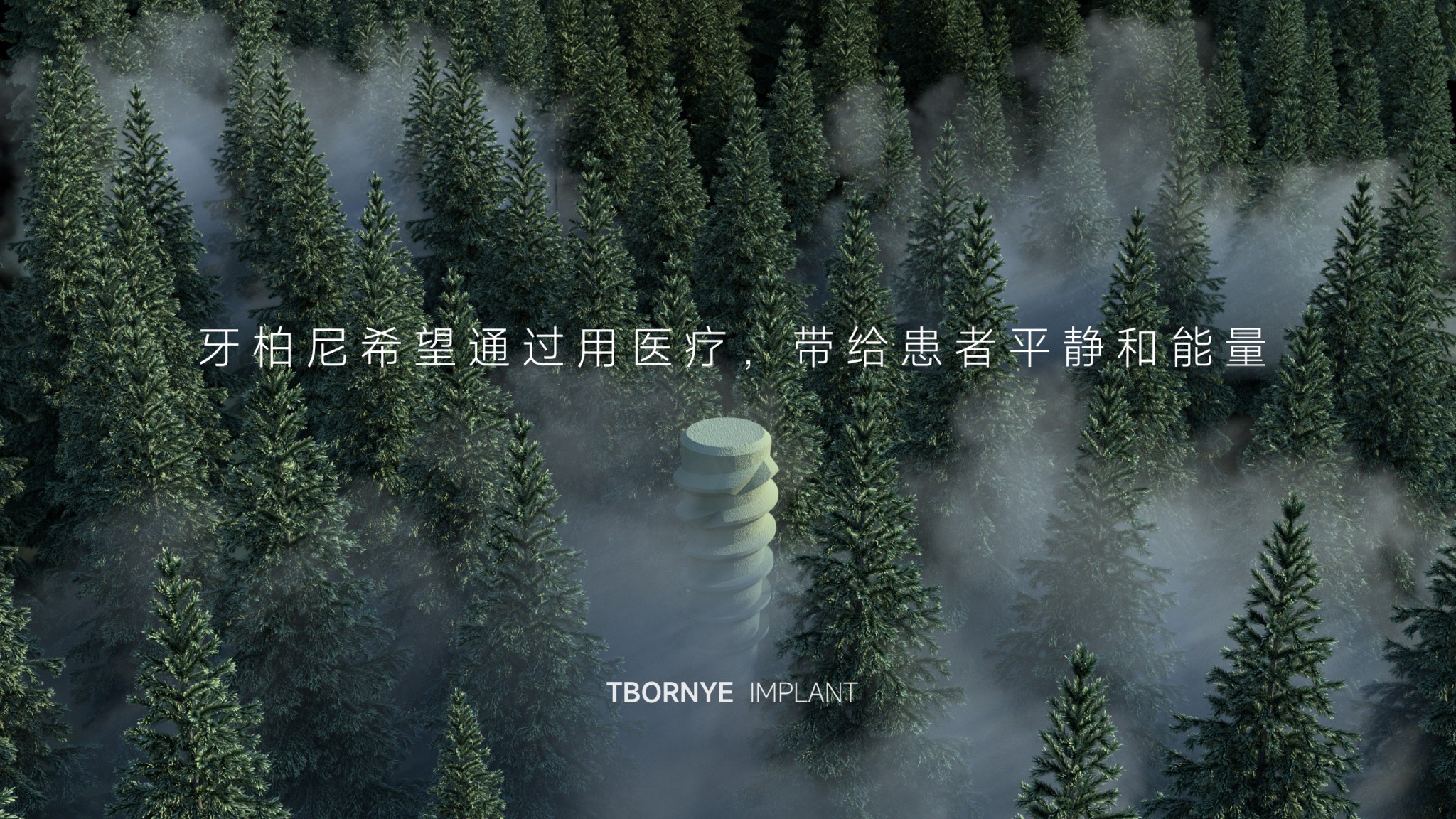 20220608牙柏尼招商PPT_2