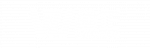 维正