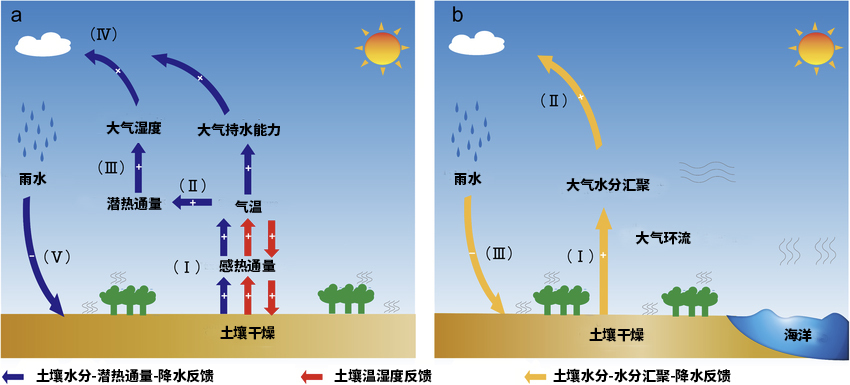 从土壤湿度-大气反馈的角度解释从干旱到洪积转变的拟议机制。（Qing et al.《通讯-地球与环境》2023） 制图 王煜