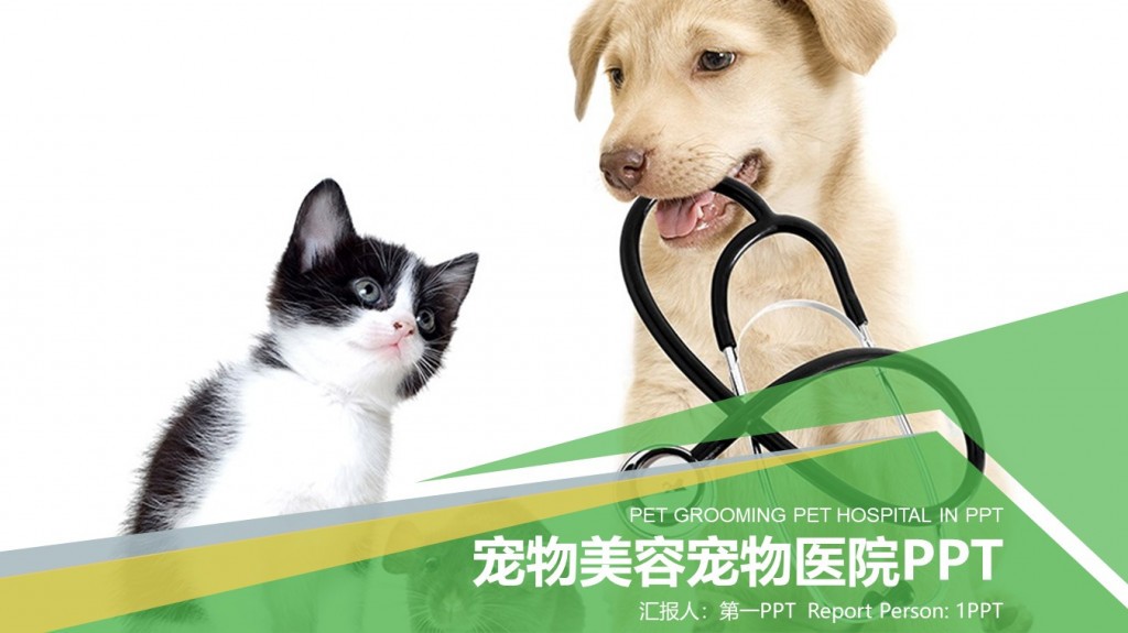 医疗宠物美容宠物医院汇报人第一PPT模板