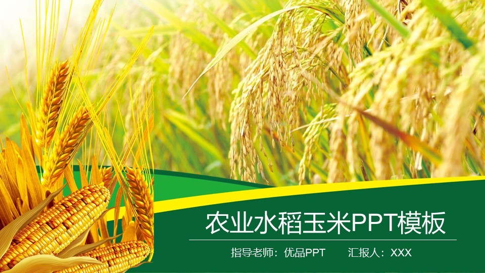 热门风格指导老师优品汇报人农业水稻玉米模板PPT模板