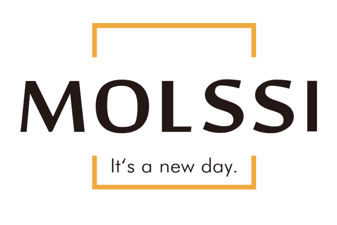 MOLSSI Umbrella - 原创设计雨伞品牌中国官方网站