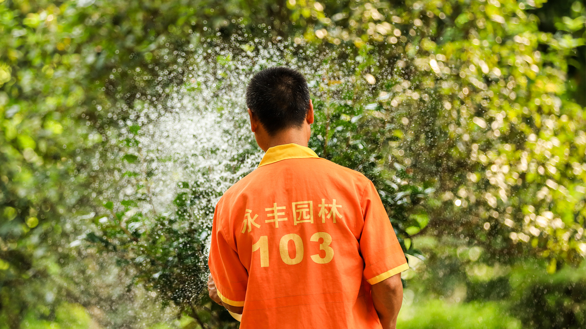 常虎高速公路