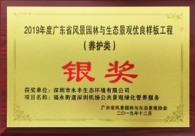 （2019广东优良样板）福永机场银奖