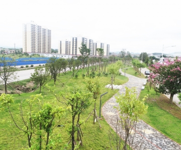 DJI_0121