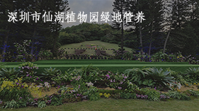 仙湖植物园封面2