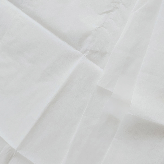 Draps Jetables Stériles Non Tissés 100x200 Cm - Pour Salon De Beauté, Soins, Imperméables