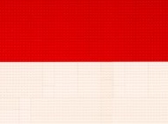 FLAG_INDONESIA_LEGO_SMALL