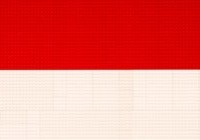 FLAG_INDONESIA_LEGO_SMALL