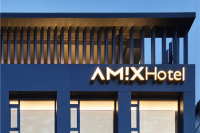 amix_1