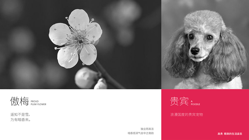 20180122繁花形象整理