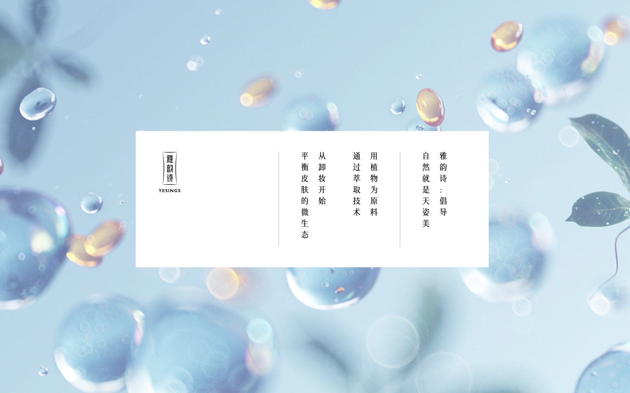 畫板 65