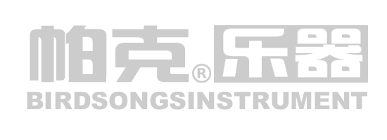 帕克薩克斯 長笛 單簧管 小號 樂器