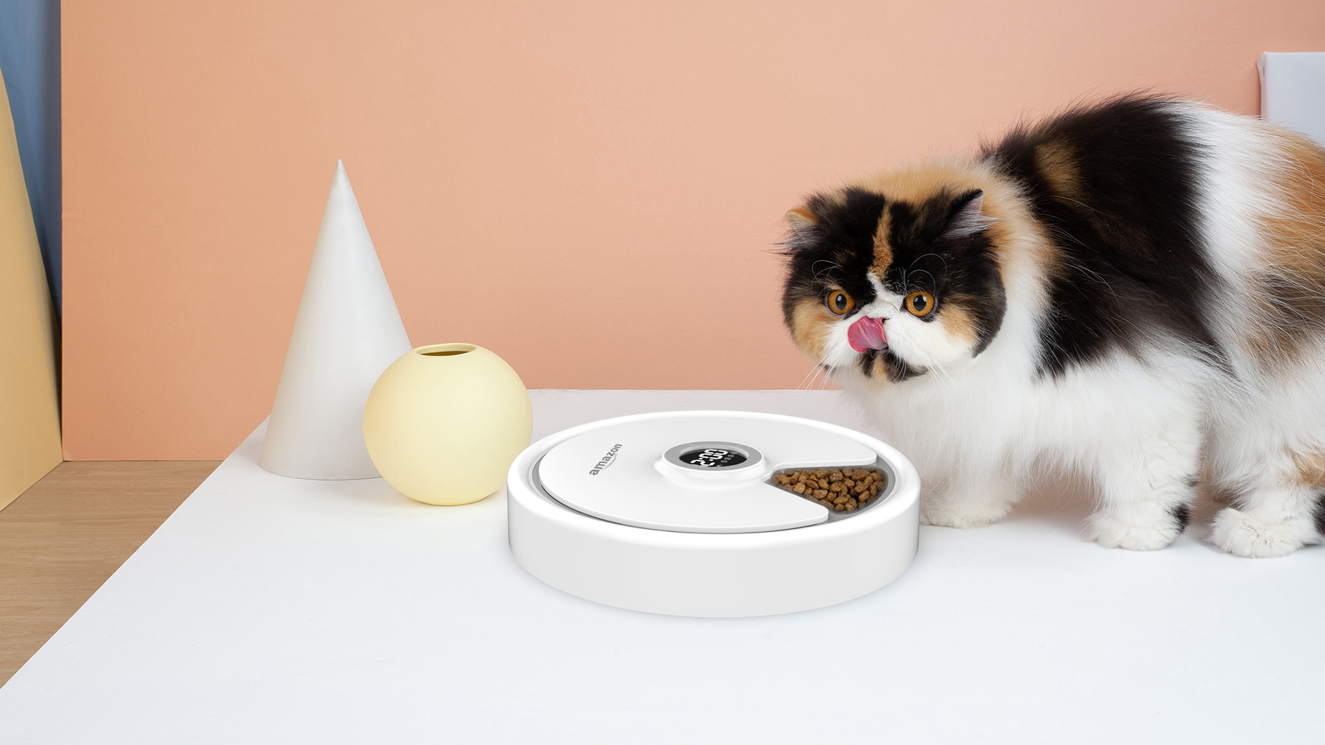 亞馬遜寵物喂食器