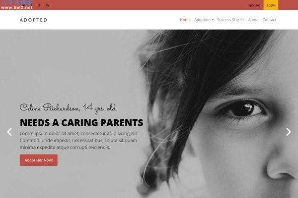 高端浅灰色玫瑰红色儿童领养机构网站模板