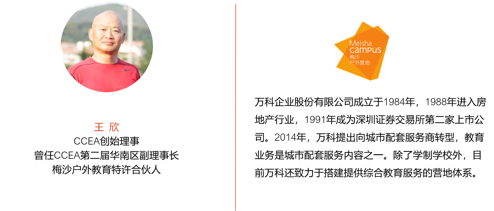 王欣