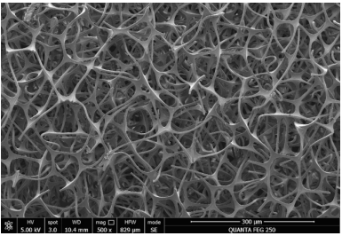 微信截圖_20181122151908