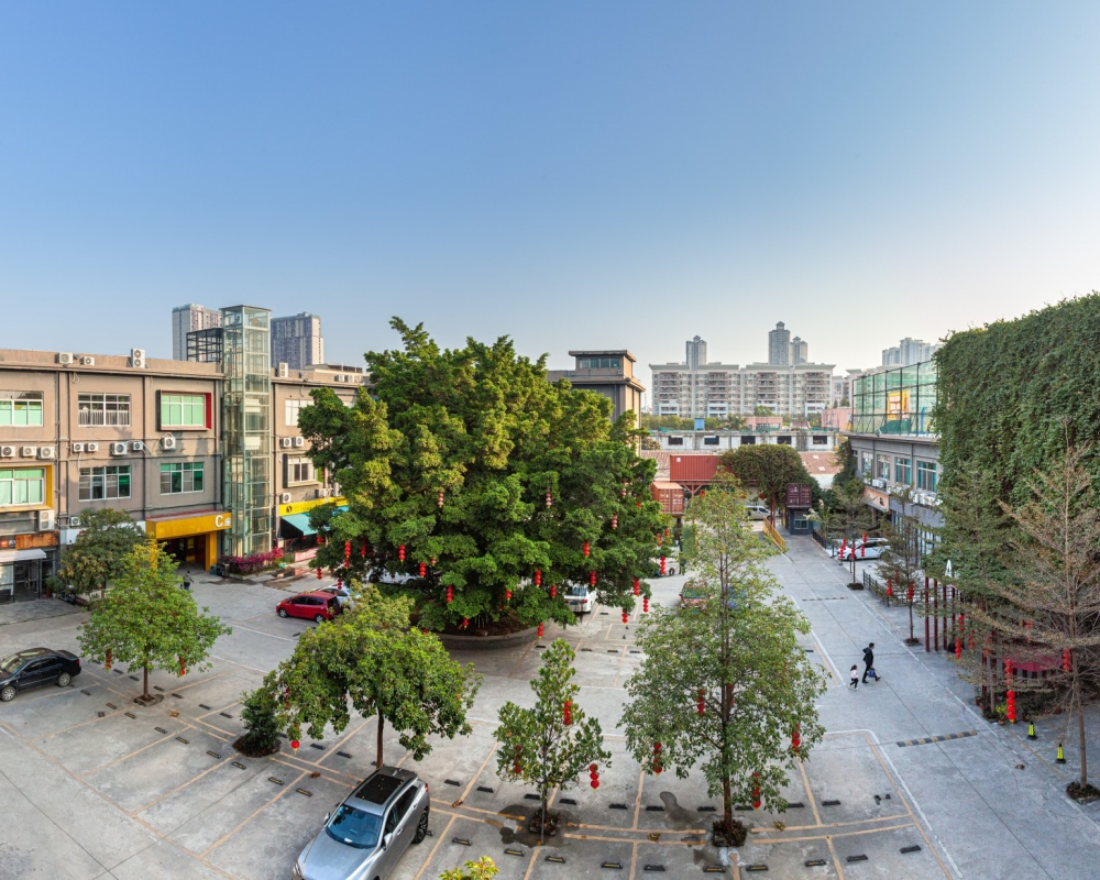 IMG_7485-Pano
