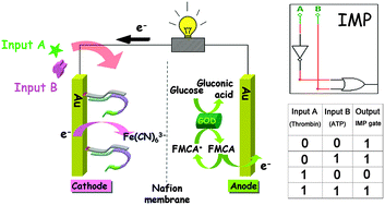 Graphical abstract: An IMP-Reset gate-based reusable and self-powered “smart” logic aptasensor on a microfluidic biofuel cell