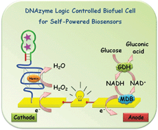 Graphical abstract: DNAzyme logic-controlled biofuel cells for self-powered biosensors