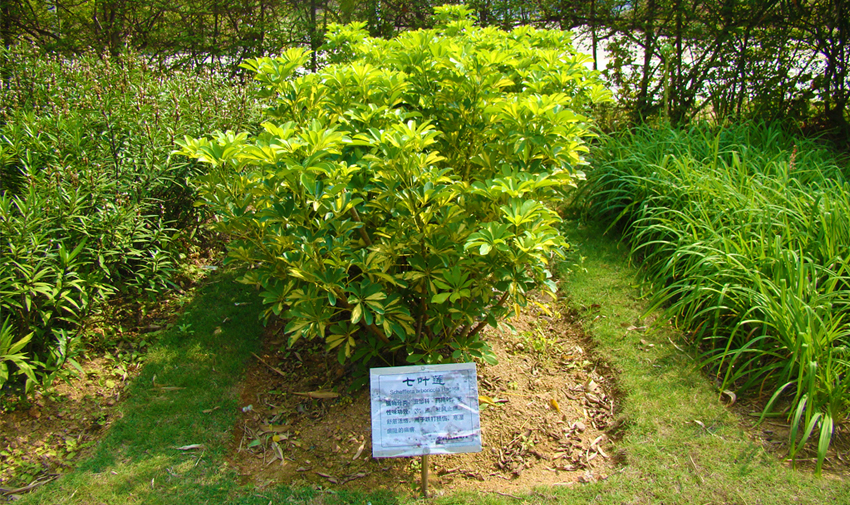 DSC33304556