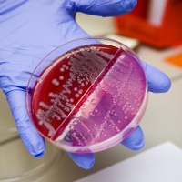 National Lab Week