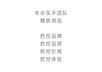 吉象家专业买手团队