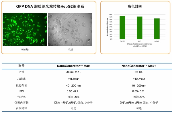 中文彩頁(yè)2.1_頁(yè)面_08