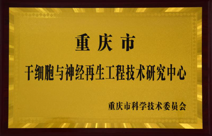 证书-02
