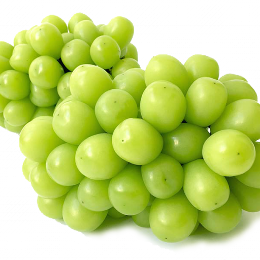 ee671b8f481cc4b9fc0144ade5aa192