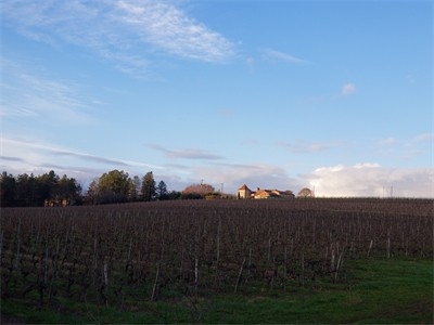 20201220_162958