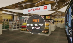 威玎产品模板0