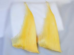 大春鈎翅