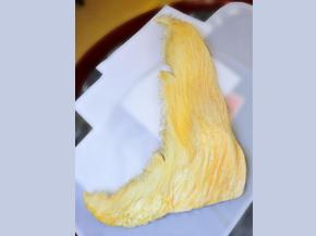 大脊翅