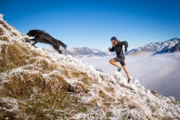 Trail Dog 08 credit The African Attachment