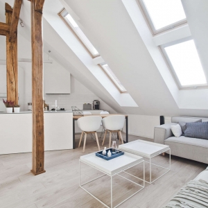 attic-home