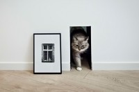 cat-door-1