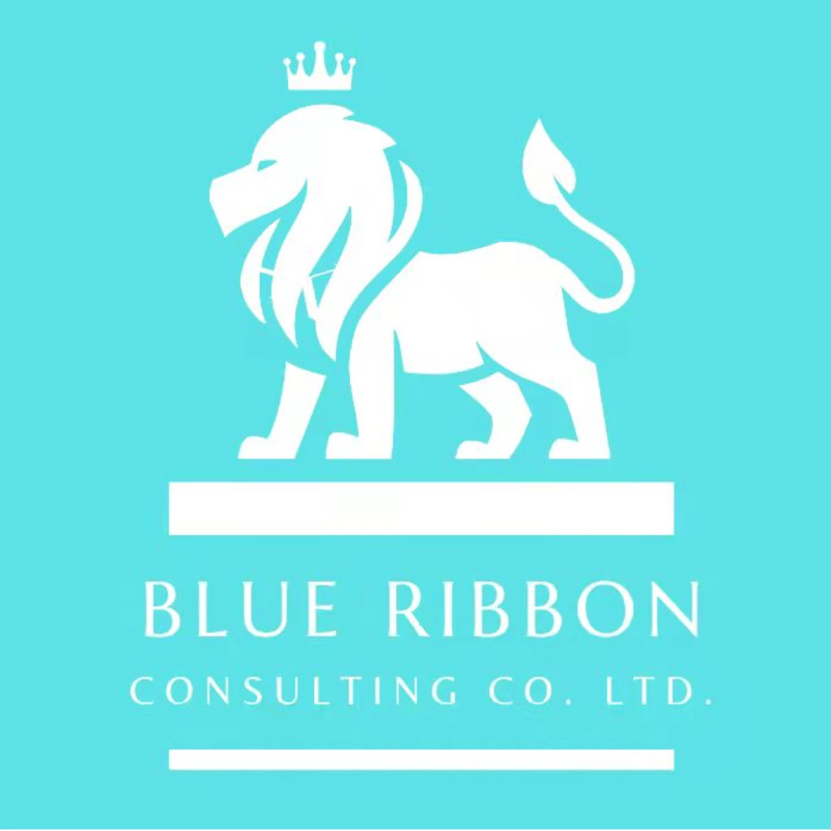 BLUE RIBBON Company Introduction